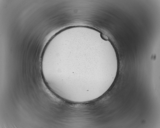 X0000110881380200907161451