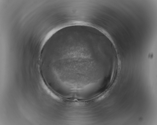 X0000110881381200907161451