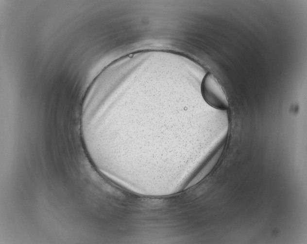 X0000110881382200907161451