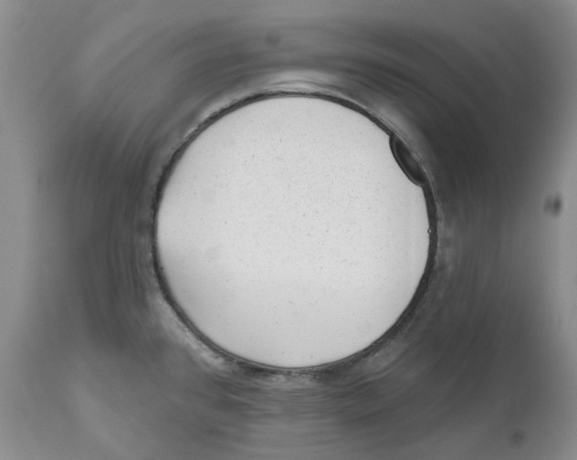 X0000110881384200907161451