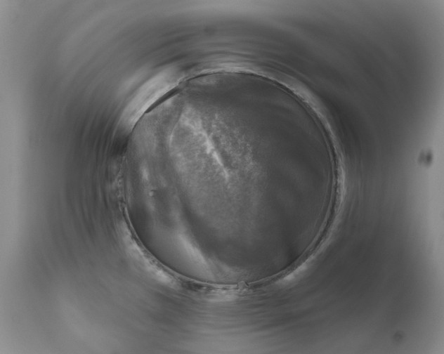 X0000110881385200907161451