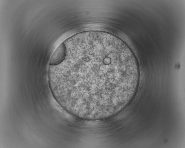 X0000110881386200907161451