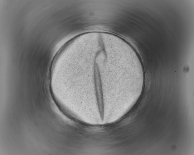 X0000110881387200907161451