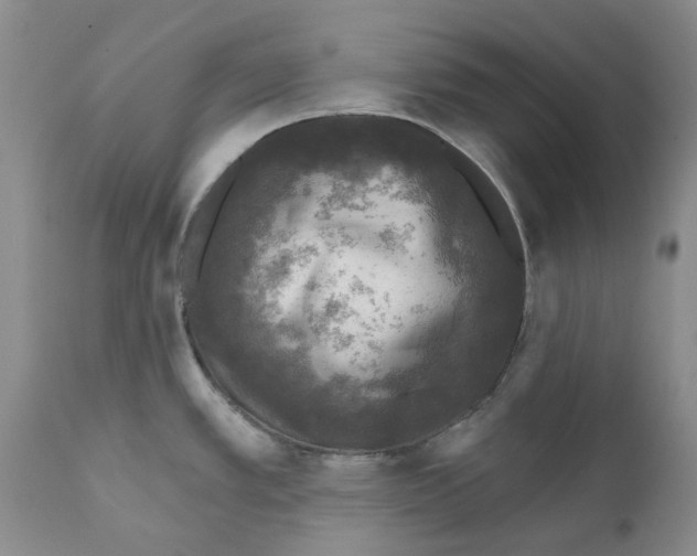 X0000110881389200907161451