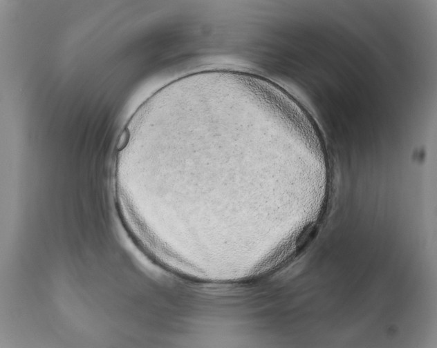 X0000110881391200907161451