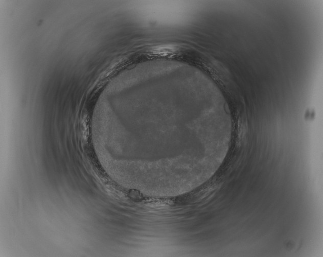 X0000110881394200907161450