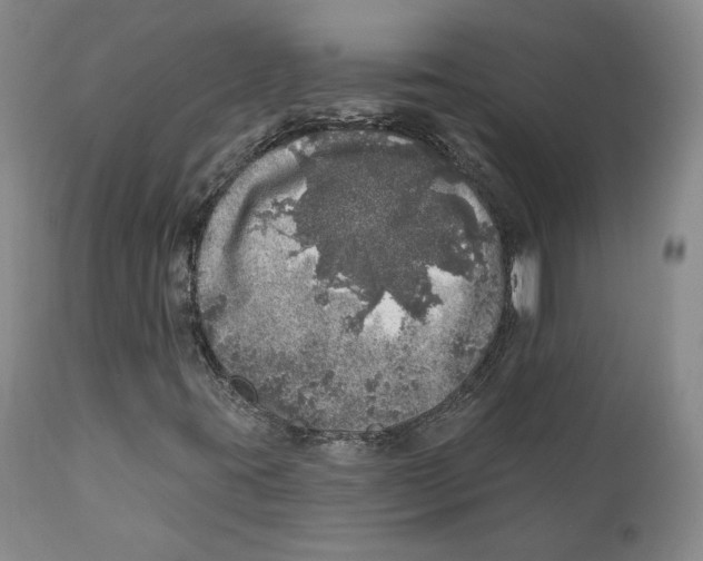 X0000110881395200907161450