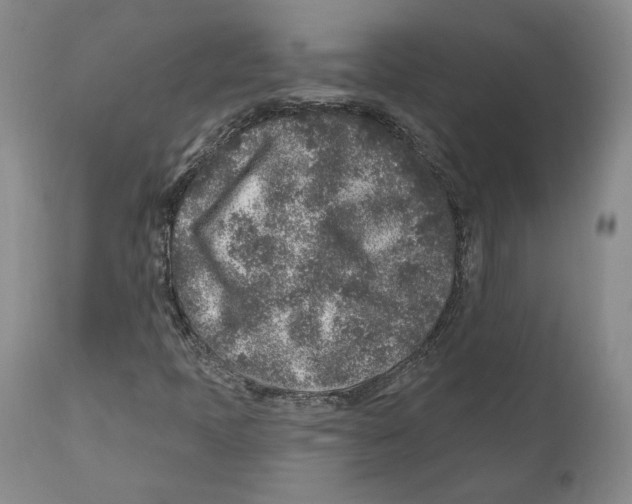 X0000110881397200907161451