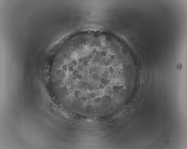 X0000110881399200907161451