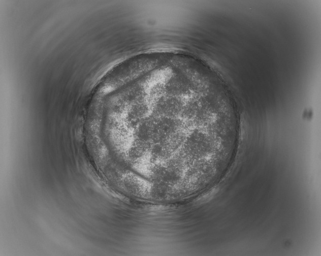 X0000110881401200907161451