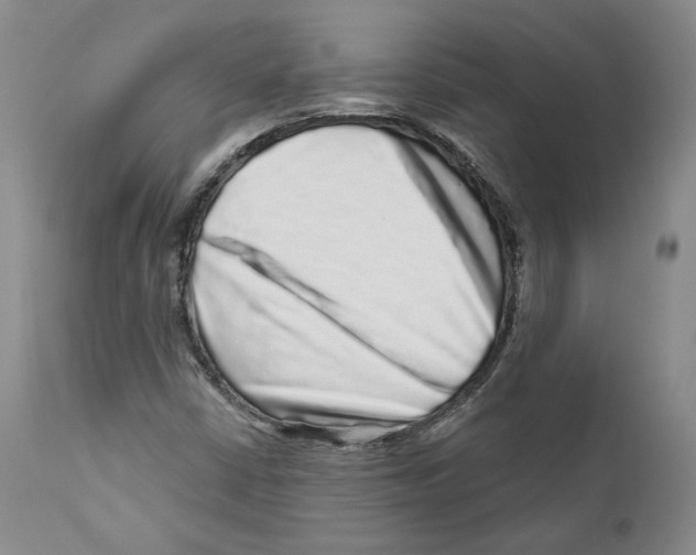 X0000110881402200907161451