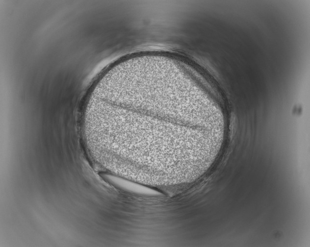 X0000110881404200907161451