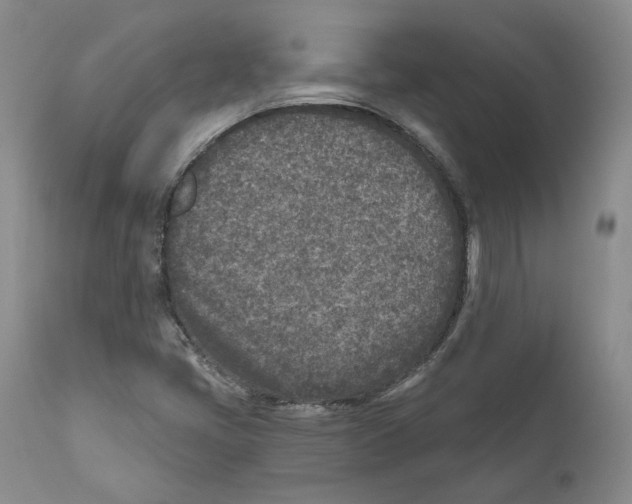 X0000110881405200907161451