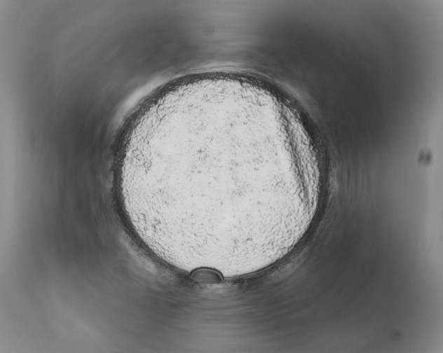 X0000110881406200907161451