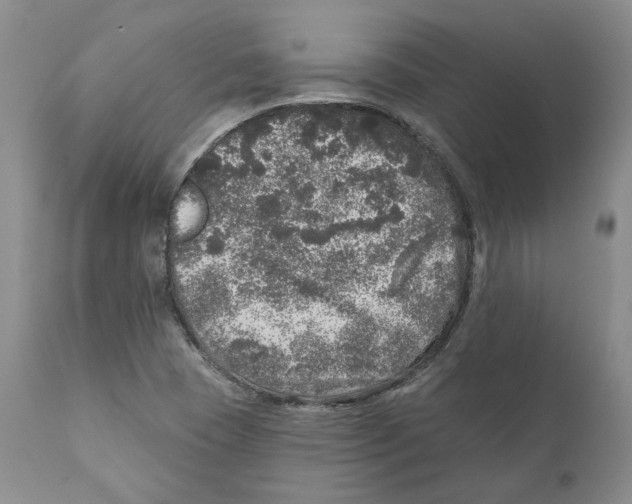 X0000110881409200907161451