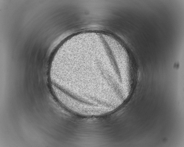 X0000110881410200907161451