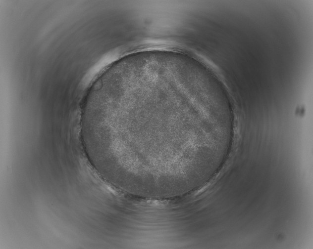 X0000110881411200907161451