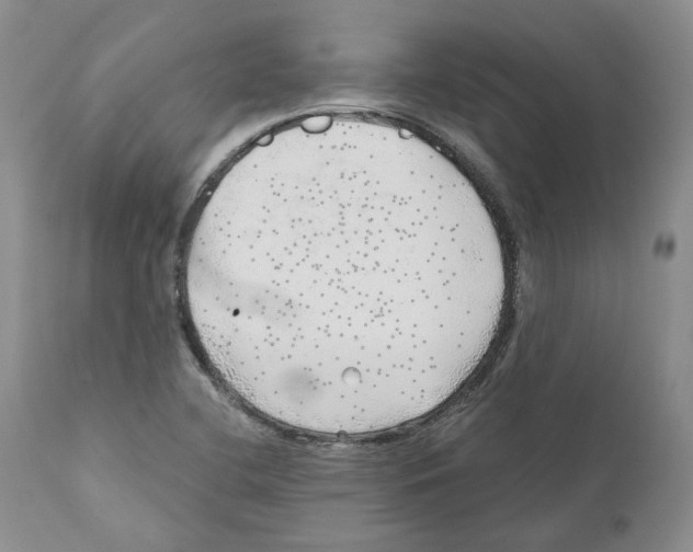 X0000110881412200907161451