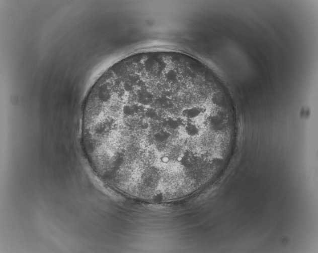 X0000110881413200907161451