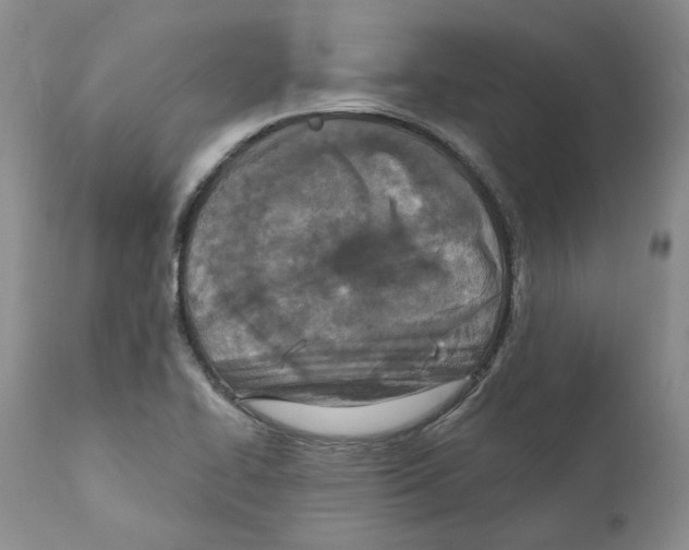 X0000110881414200907161451