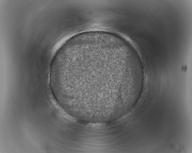 X0000110881415200907161451