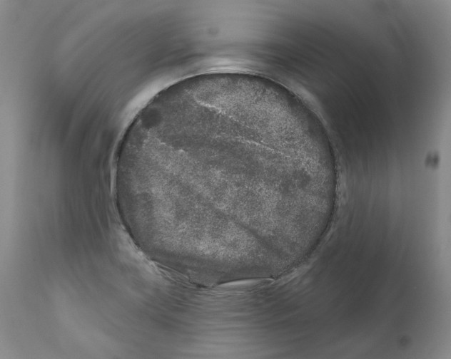 X0000110881419200907161451