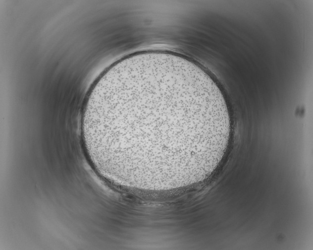 X0000110881420200907161451