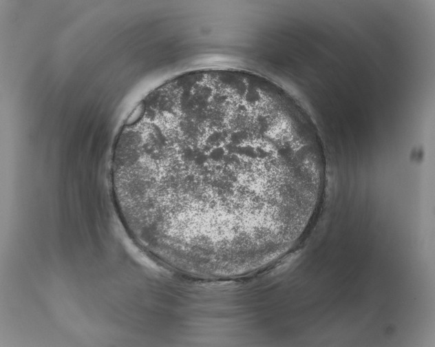 X0000110881421200907161451