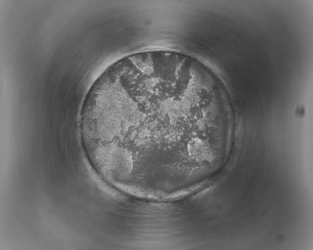 X0000110881423200907161451