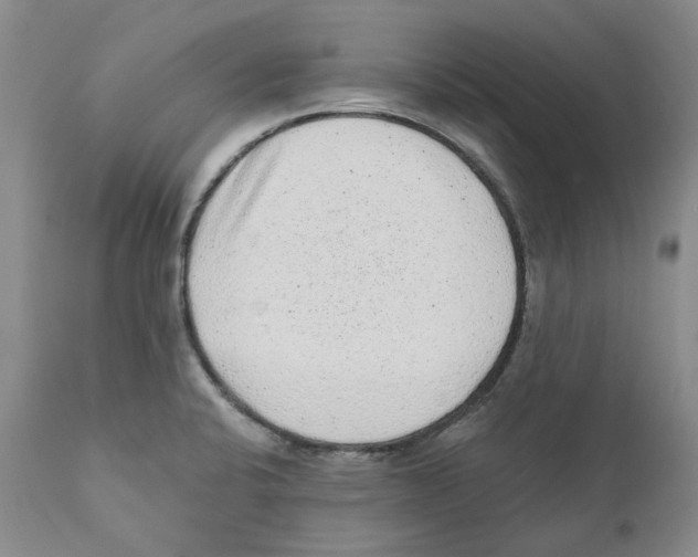 X0000110881424200907161451