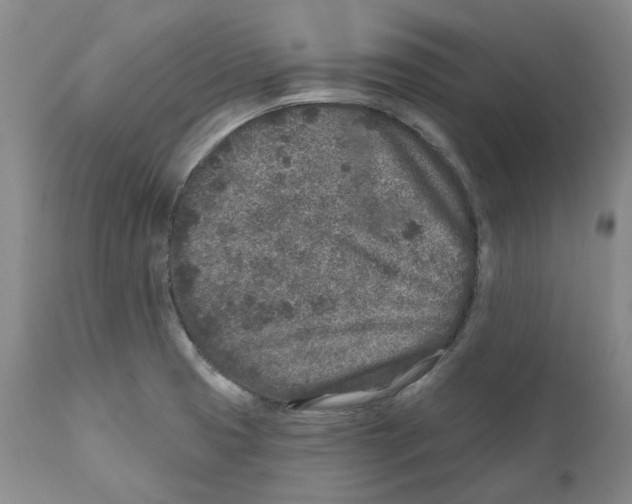 X0000110881425200907161451