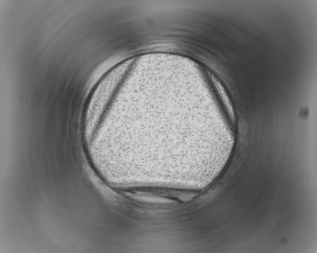 X0000110881426200907161451