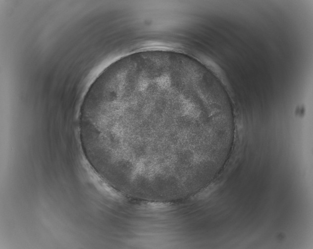 X0000110881427200907161451