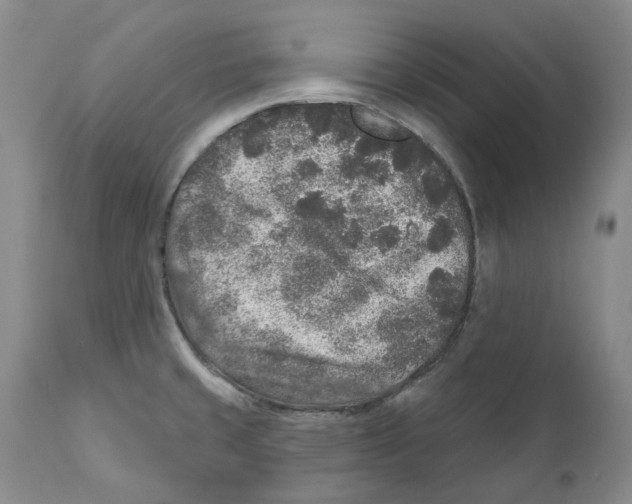 X0000110881429200907161451