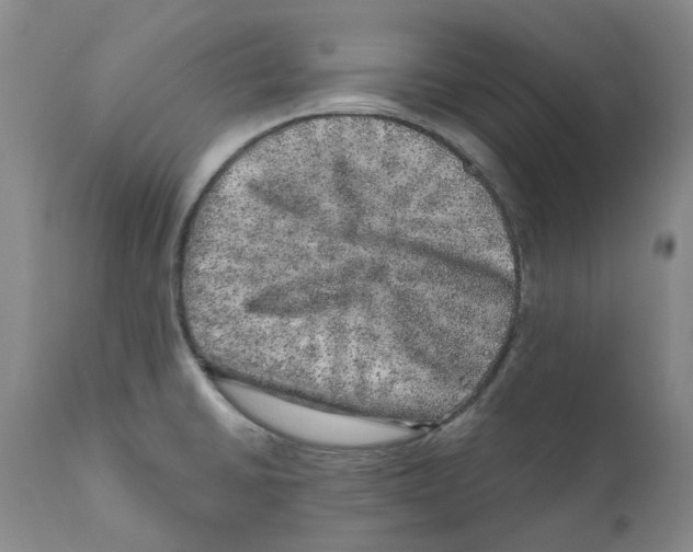 X0000110881430200907161451