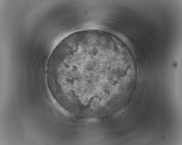 X0000110881431200907161451