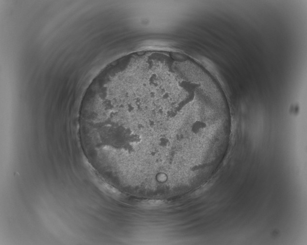 X0000110881435200907161451