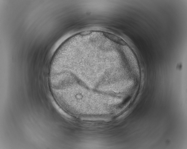 X0000110881438200907161451