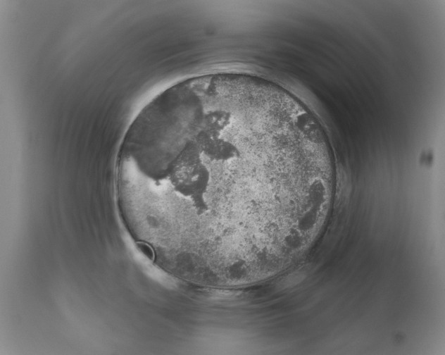 X0000110881439200907161451