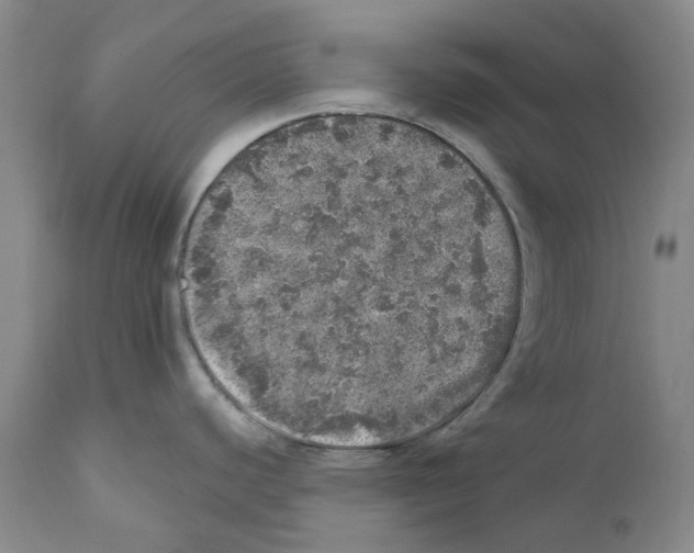 X0000110881440200907161451