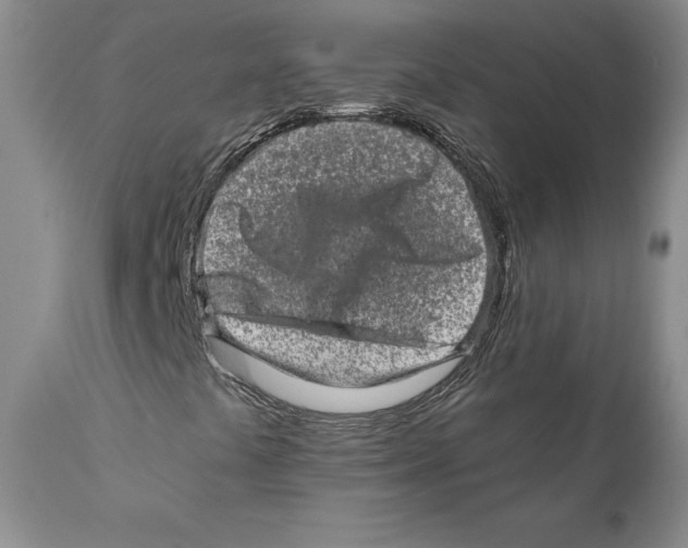 X0000110881441200907161450