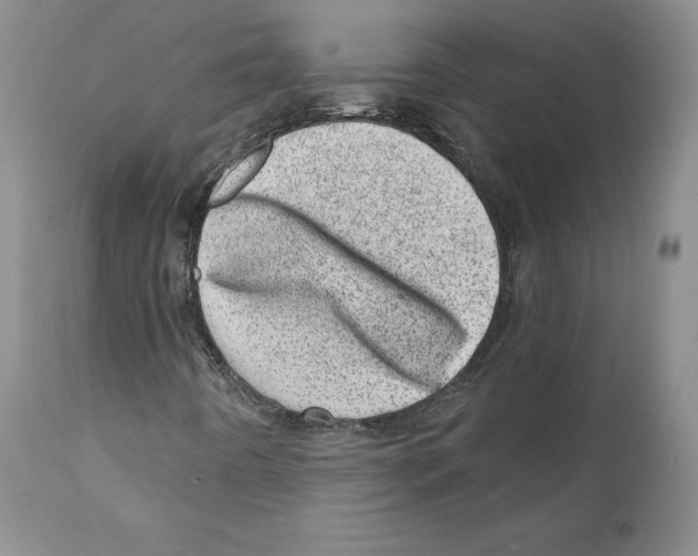 X0000110881442200907161450