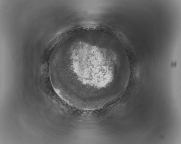 X0000110881445200907161450