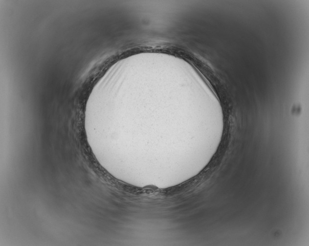 X0000110881447200907161450