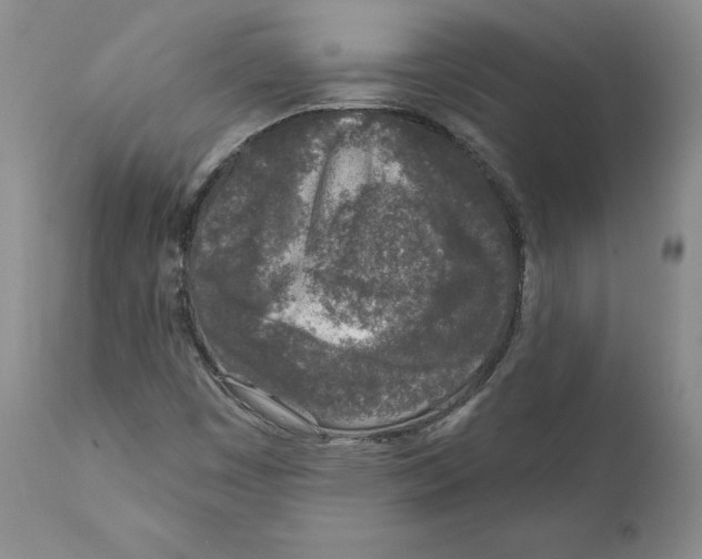 X0000110881449200907161450