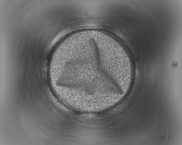 X0000110881450200907161450