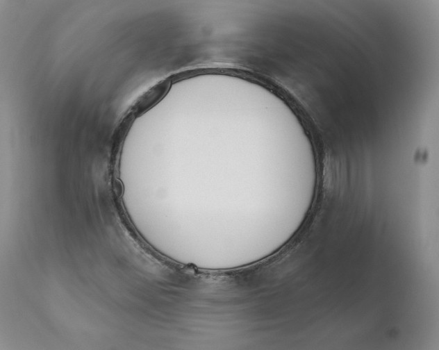 X0000110881452200907161450