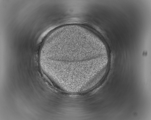 X0000110881453200907161450