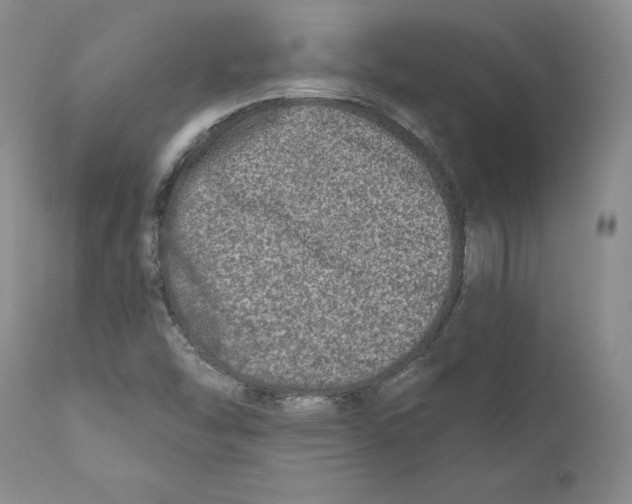 X0000110881454200907161450