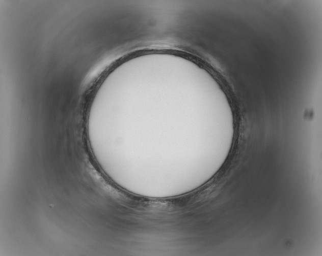 X0000110881456200907161450